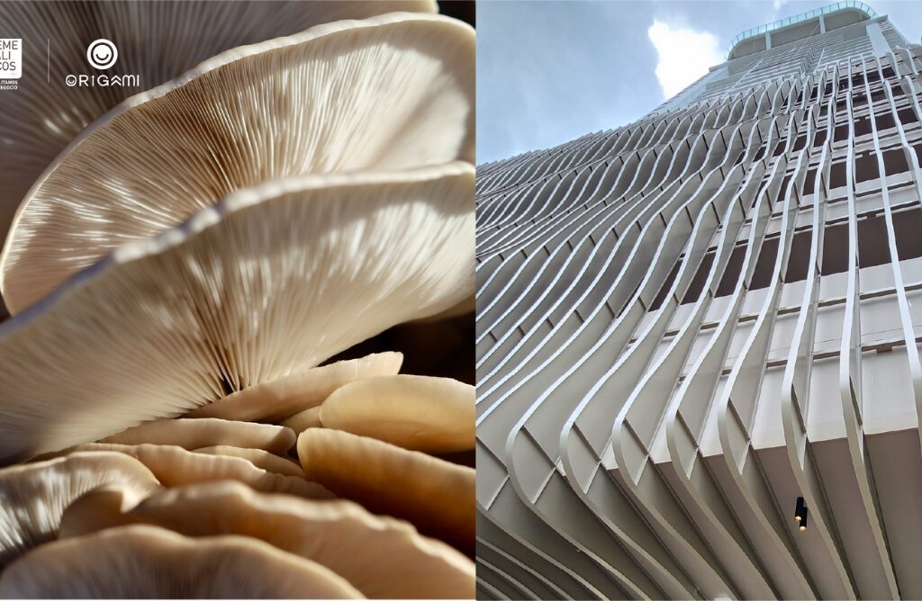 Premio Camacol de innovación: ¿Qué es el diseño paramétrico?